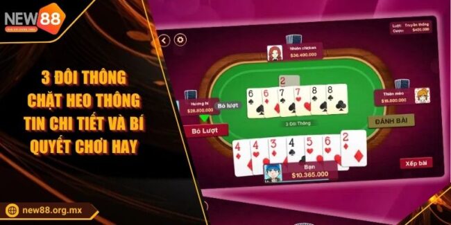 3 Đôi Thông Chặt Heo Thông Tin Chi Tiết Và Bí Quyết Chơi Hay