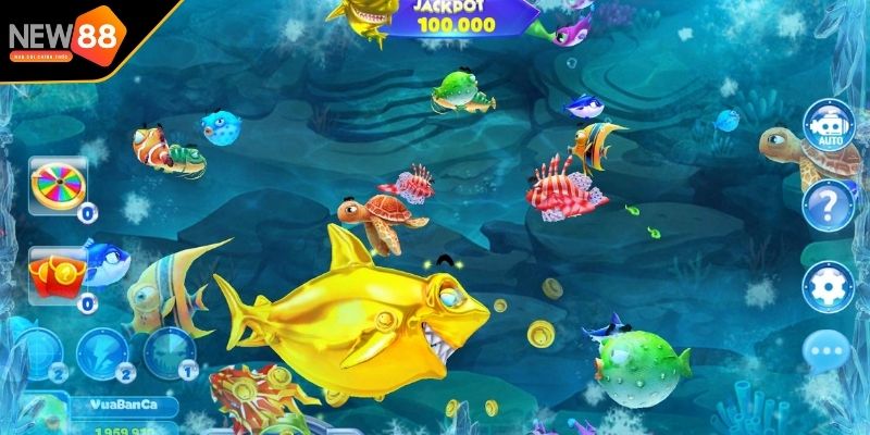 Tính năng và thuật ngữ trong trò săn cá VIP 