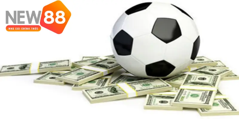 Bí quyết chơi kèo Tài Xỉu 2 trái hiệu quả từ cao thủ cá cược