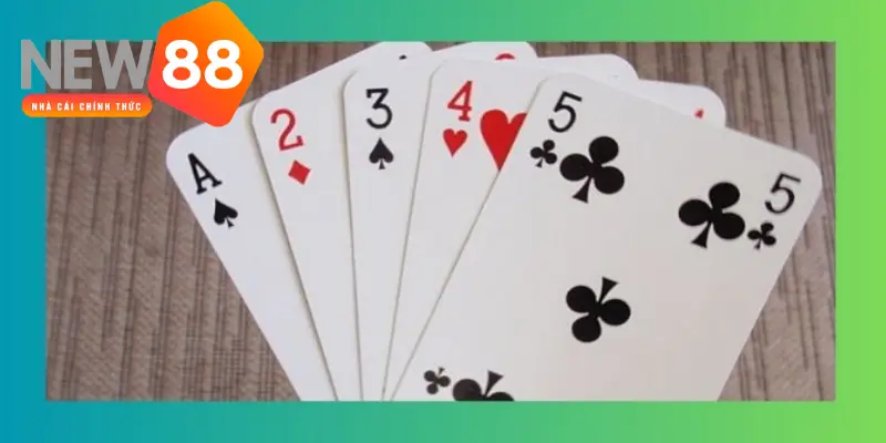 Học cách đoán bài Catte chính xác từ cao thủ