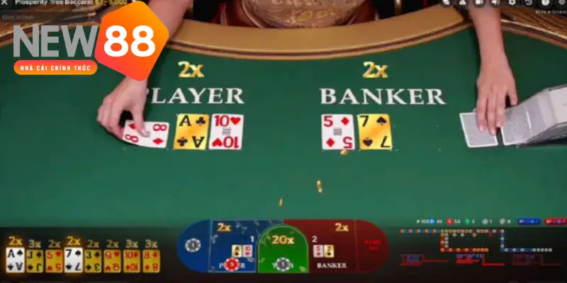 Hướng dẫn cách chơi Baccarat tại nhà cái cho người mới